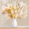 Home Decor Bouquet Natural Dried Flowers for Vase(Multicolour)